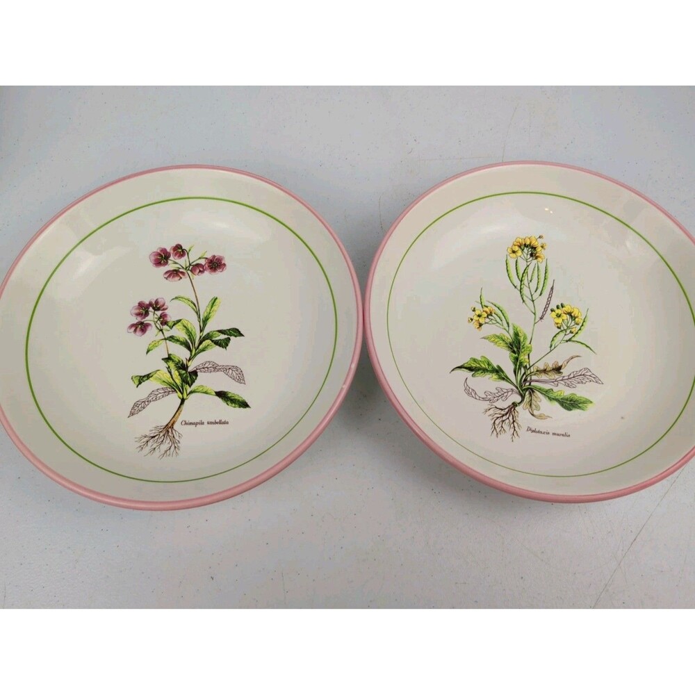 2pc La Primula 8.25in. Floral / Botanical Pasta Bowls Made In Italy (AS IS)